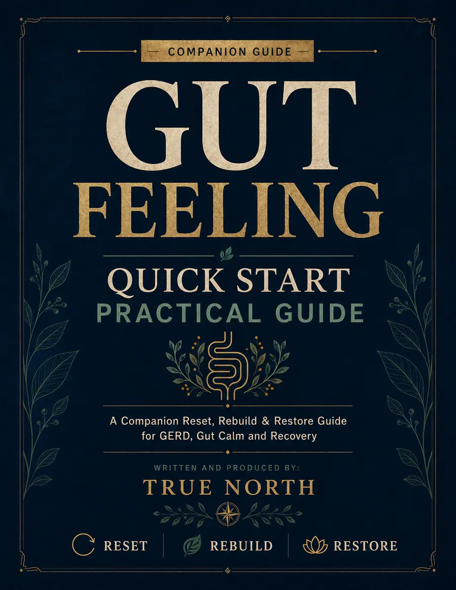 Gut Feeling Quick Start Practical Guide cover